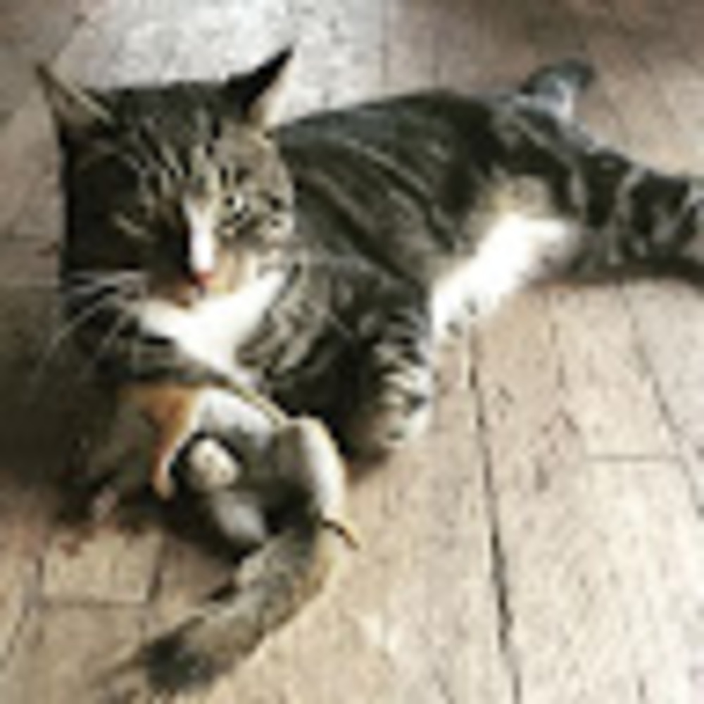 Meet your Posher, Ivan